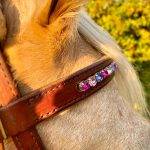 Detail eines braunen Lederkopfstücks mit eingearbeiteten Schmucksteinen